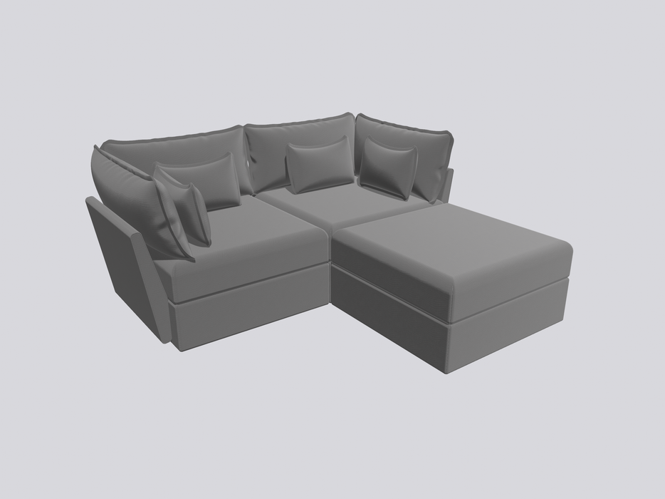 2 Seater Sofa and Ottoman Module